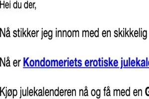 Ang. julekalenderen vår!