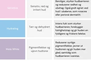 Din guide til Dr. Schrammek✏️