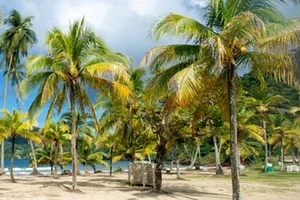 Fra kalde føtter til kokosnøtter🌴☀️