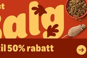 🍂 Gjør høsten litt bedre med opptil 50 % rabatt!