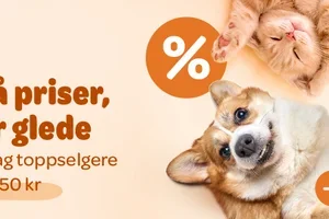 Oppdag lave priser hver dag!