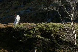 Houdini – gear för höstens trekking 🏔️