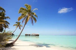 Eksotisk rabatt til Maldivene, Karibien og Sørøst-Asia🌴