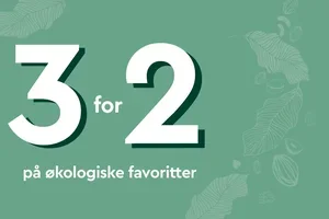 Siste sjanse nå✨