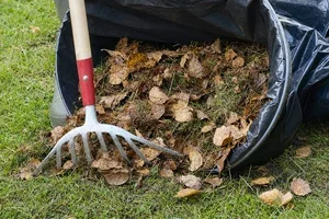 Klar for høstrydding? 🍂🧹