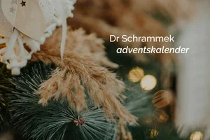Dr Schrammek ⎮ årets adventskalender🎄✨