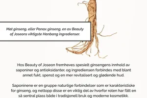 Lær om ginseng 🔍🫚 koreansk ikonisk skjønnhetsingrediens