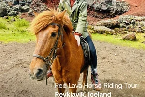 Insider travel tips for you