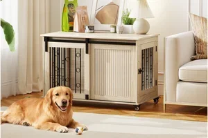Gode deals på hundeutstyr 🐶