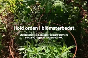 Gi staudene den støtten de fortjener