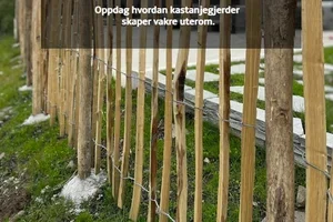 Se hvordan andre bruker kastanjegjerde