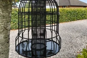 Start fuglematingen nå – få 10 % rabatt 🐦