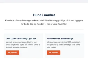 Hund i mørket: Slik gjør du kveldsturen tryggere 🐾✨