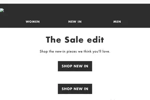 The Sale edit