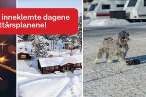 Sikre planene for fridagene! ❄️