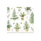 FESTIVE HOLIDAYS GREEN KAFFE