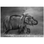 Elephant mother and cub