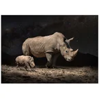 NightRhinos
