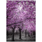 Magical Cherry Blossom Forest