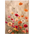 Vibrant Poppy Garden