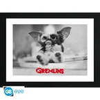 Gremlins Innrammet Bilde 30 x 40 cm Gizmo