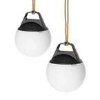 Light 250 (2 pack)