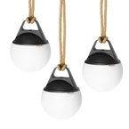 Light 155 (3 pack)
