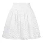 Shakira Skirt