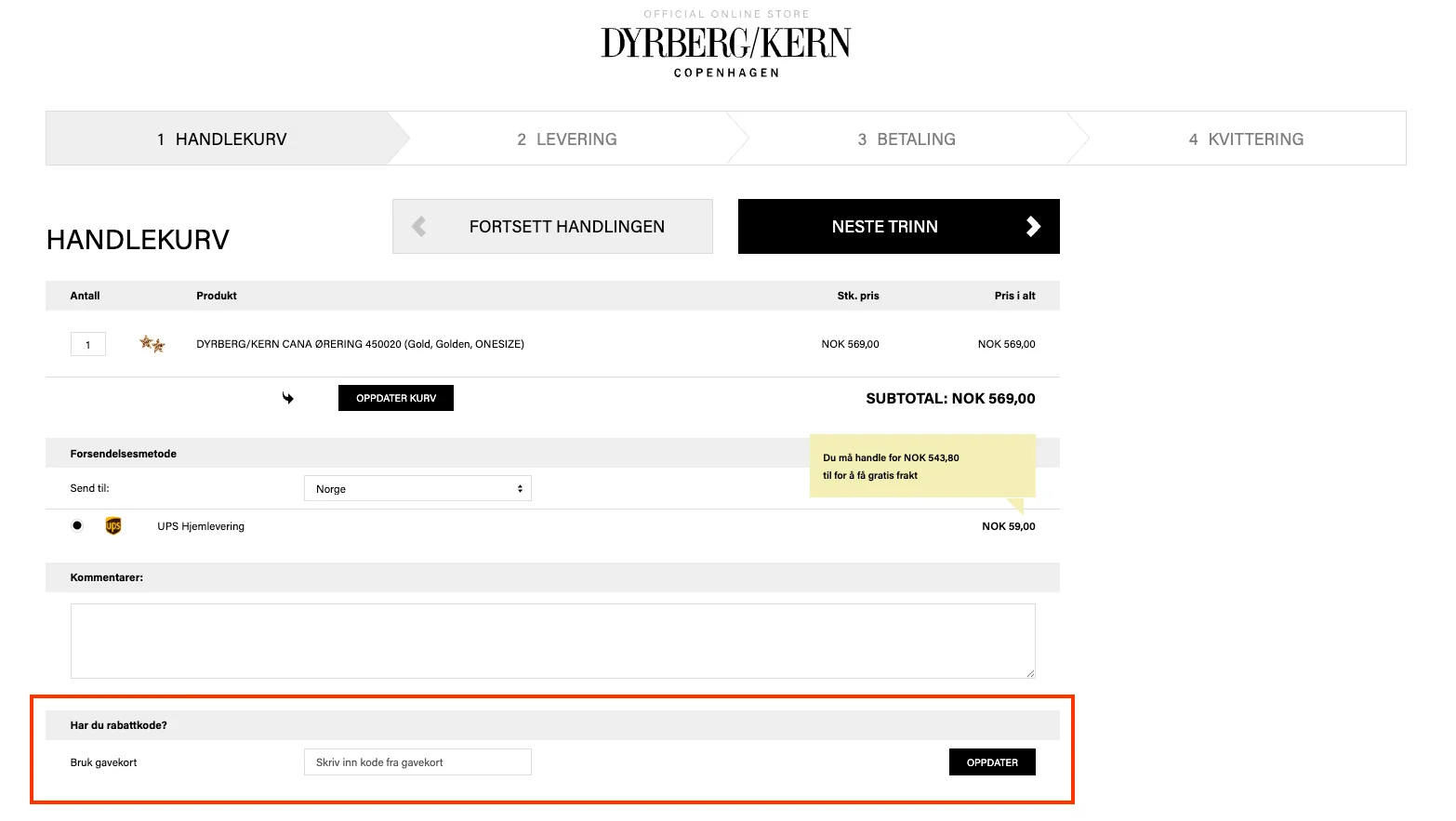 Slik bruker du rabattkoden - Dyrberg Kern